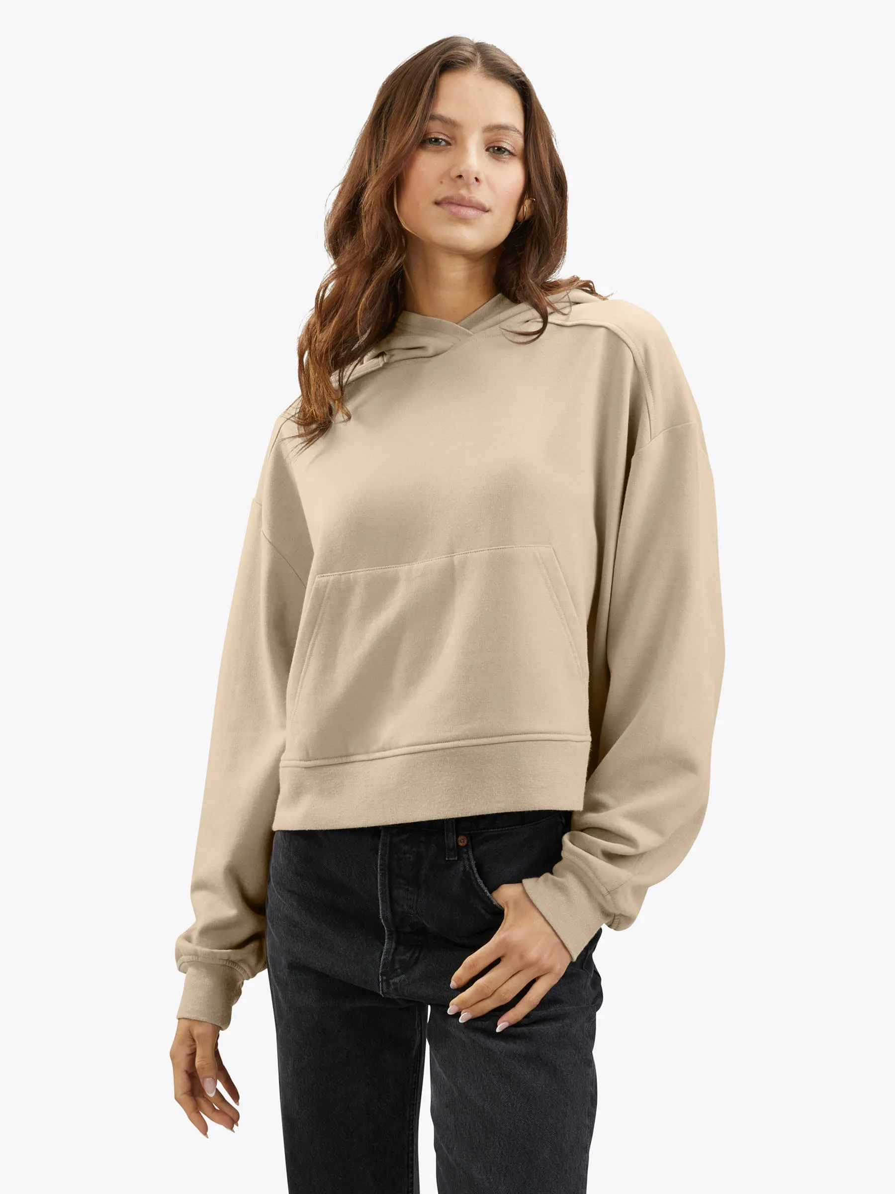 Cloud-Fleece Pullover Hoodie | Birch Relaxed-Fit