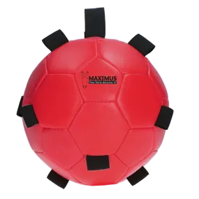 Maximus Fun Play Ball Red