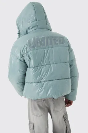 Oversized Limited Embroidered Hooded Puffer In Light Blue