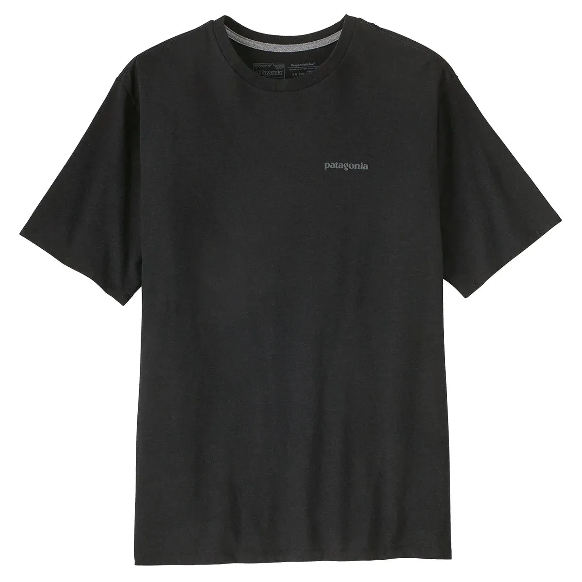 Patagonia Men's Flying Fish Organic Cotton T-Shirt - Ink Black