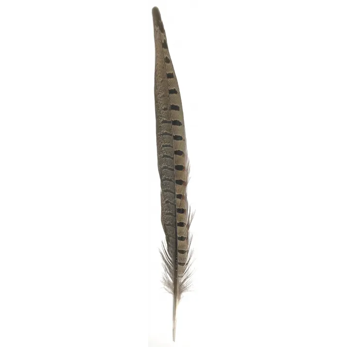 Pheasant Feather Dark Brown w/ Black Spots 12″-14″