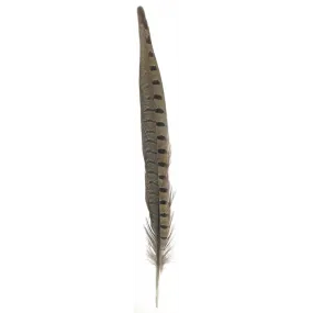 Pheasant Feather Dark Brown w/ Black Spots 12″-14″