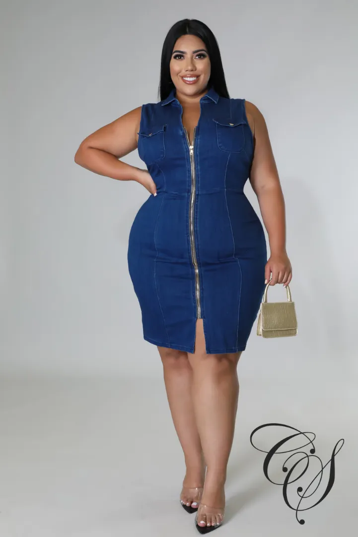 Vivian Denim Dress