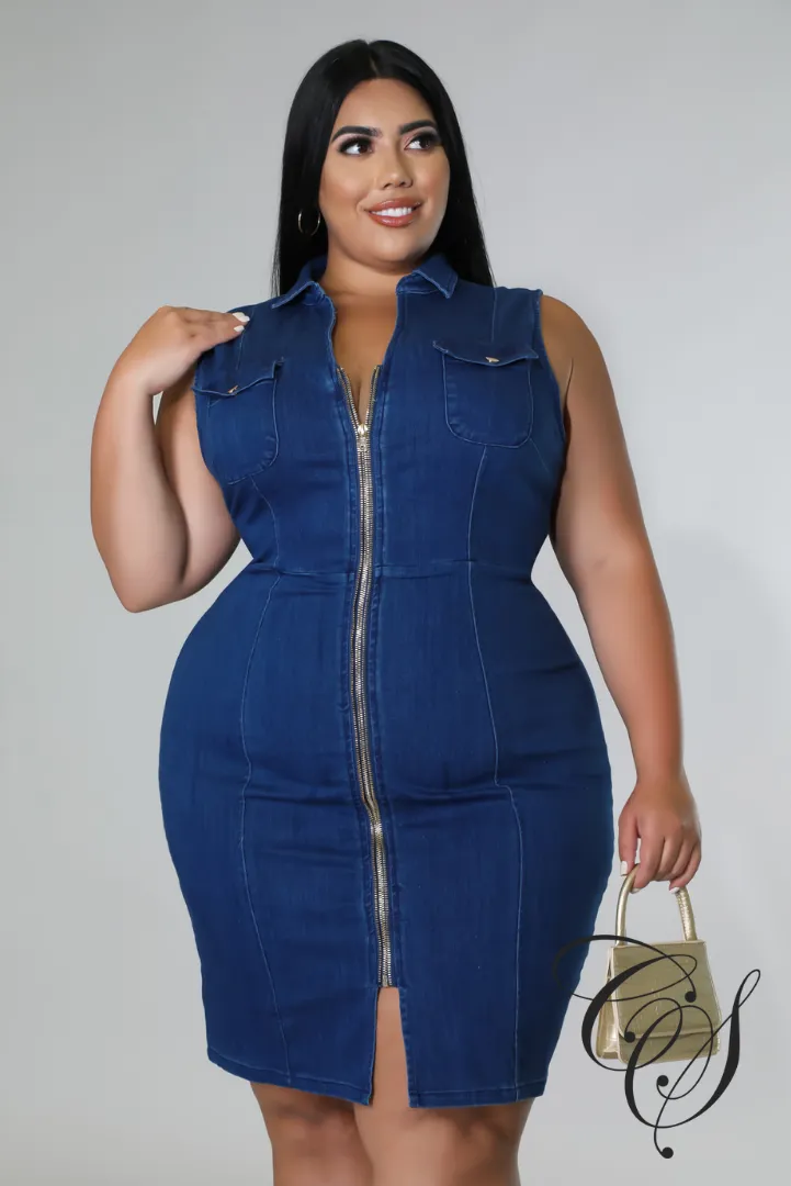 Vivian Denim Dress