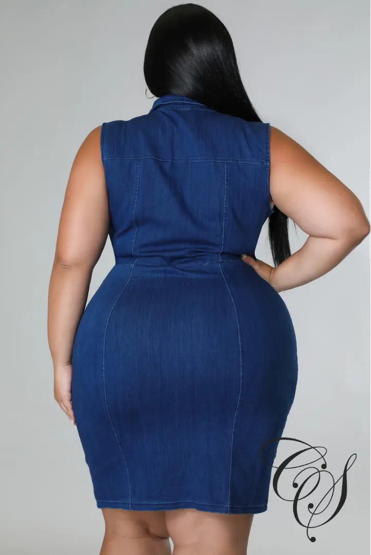 Vivian Denim Dress